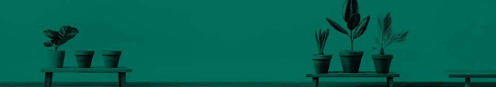 Background Background
